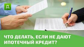 Что делать, если не дают кредит в Лаура Марлин
