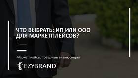 Что лучше для Wildberries: ИП или ООО в Лаура Марлин