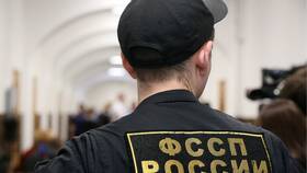 Что могут приставы по кредиту в Лаура Марлин