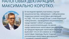 Что означает недоимка по налогам в Лаура Марлин