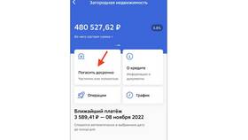 Как быстро погасить кредитную карту Сбербанка полностью в Лаура Марлин