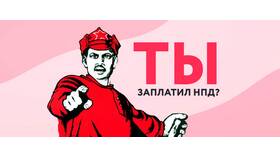 Как организации платят НДФЛ в Лаура Марлин