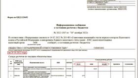 Как отразить штрафы в бухгалтерском учете в Лаура Марлин