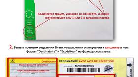 Как подать заявку на получение паспорта в Лаура Марлин