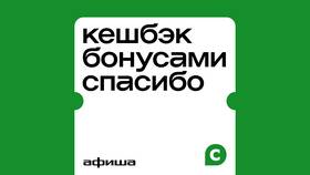 Как получать бонусы СберСпасибо за все покупки в Лаура Марлин