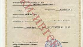 Как проверить ИП по ИНН в Лаура Марлин