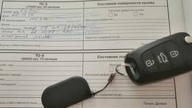 Как участвовать и покупать на аукционах Авито в Лаура Марлин