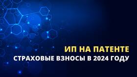 Как уменьшить страховые взносы ИП в 2024 году в Лаура Марлин
