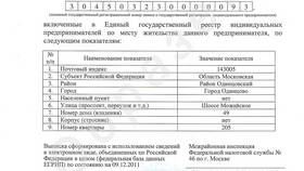 Как выглядит выписка из ЕГРИП для ИП в Лаура Марлин
