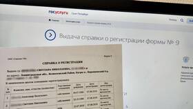 Как загрузить справку на портал Госуслуги в Лаура Марлин