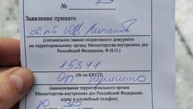Как запросить чек в Альфа-Банке в Лаура Марлин