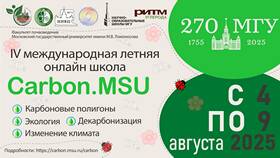 Комиссия в институте: назначение и функции в Лаура Марлин