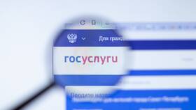 Почему не отображается автомобиль в Госуслугах в Лаура Марлин