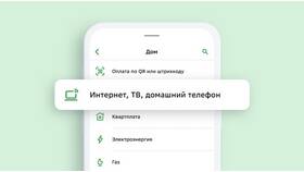 Почему нельзя оплатить Мегафоном в Лаура Марлин