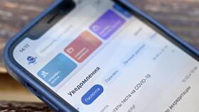Справка об отсутствии контактов с инфекционными больными в Лаура Марлин