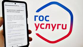 Сроки получения результатов через Госуслуги в Лаура Марлин