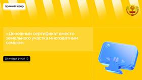 Статус участка 