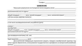 Зачем риэлтору паспорт в Лаура Марлин