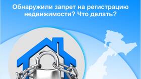 Запрет на регенерацию авто: что означает в Лаура Марлин