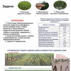 Почему в растениеводстве часто используют вегетативное размножение
