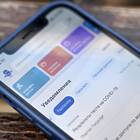 Справка об отсутствии контактов с инфекционными больными