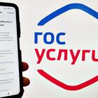Сроки получения результатов через Госуслуги