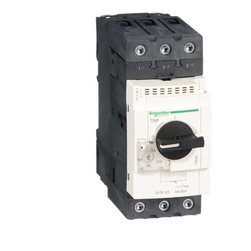 Автоматический выключатель Schneider Electric 65А GV3P65 в Лаура Марлин